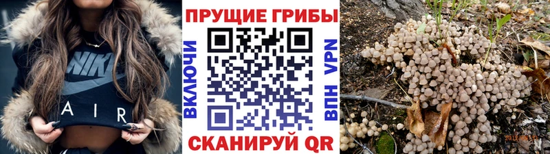 Галлюциногенные грибы MAGIC MUSHROOMS купить наркотик Всеволожск